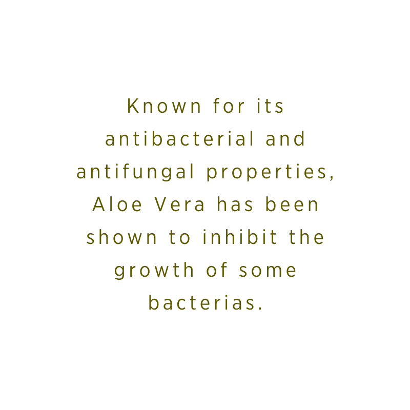 Aloe Vera | Anti-Fungal