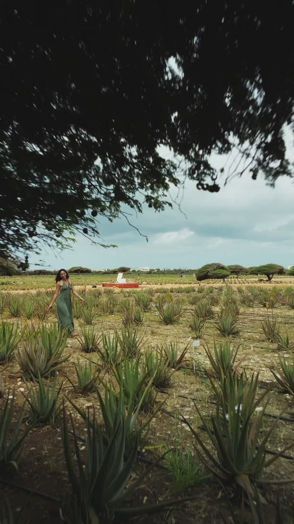 Royal Aruba Aloe Aloe Walking